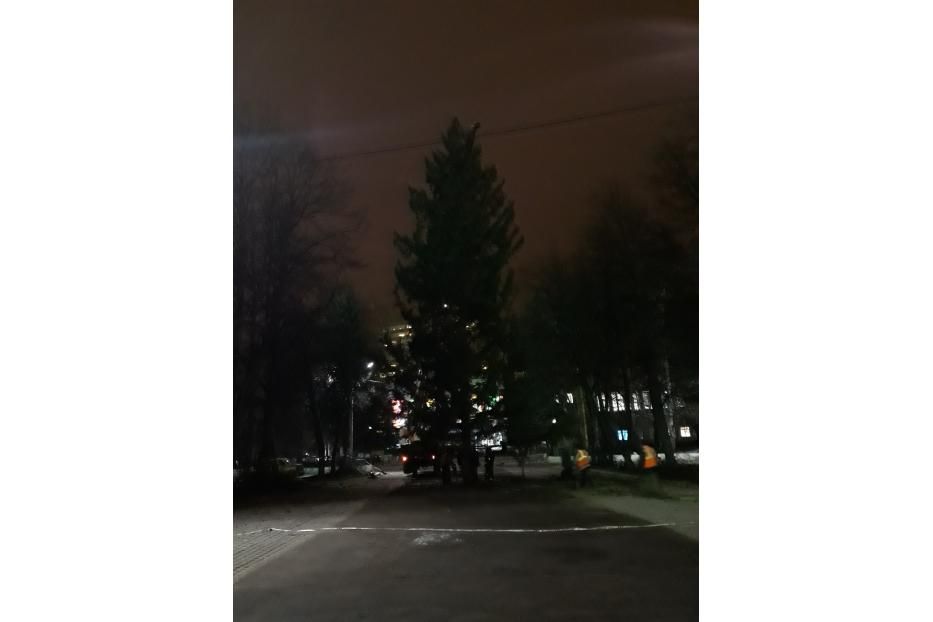 В Советском районе установили новогоднюю ёлку 