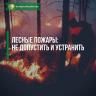 Лесные пожары: не допустить и устранить