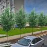 В Ленинском районе Уфы выбирают названия аллей
