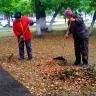 С городских улиц и дворов сдувают пылинки