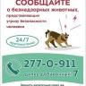 Сообщайте о безнадзорных животных, которые представляют угрозу безопасности человека