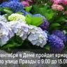Приглашаем на ярмарку