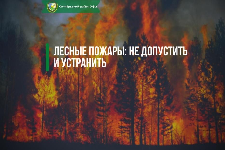 Лесные пожары: не допустить и устранить